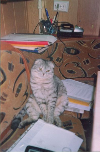 Лариса Миронова