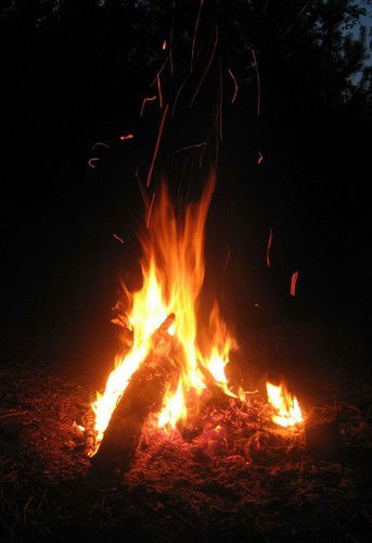 Олег Кравец