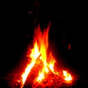 Олег Кравец