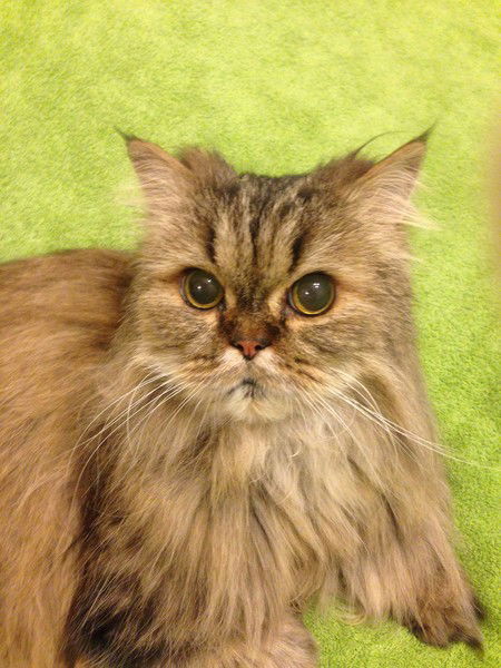 Витя Самиленко