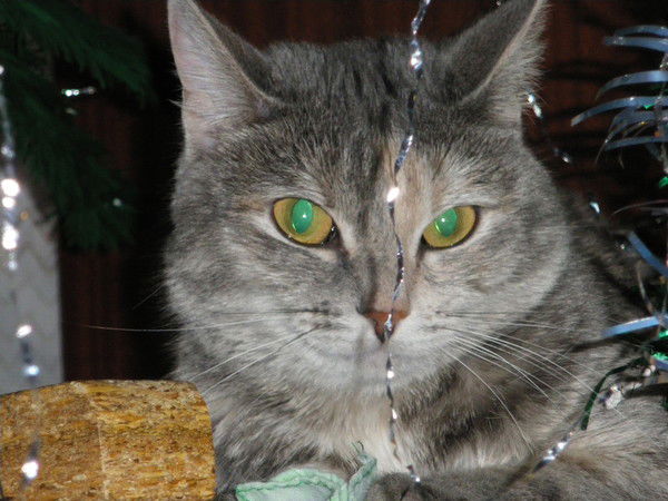 Валентина Смирнова