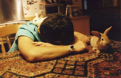 Петр Анохин