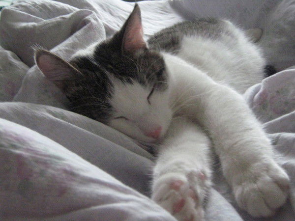 Артур Закариев