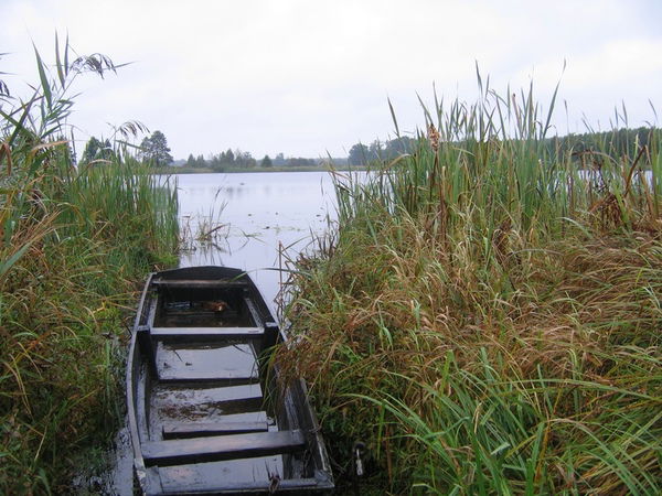 Дмитрий Борсук