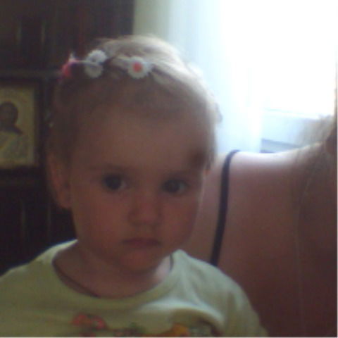 Елена Сливка