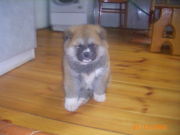 Неизвестно Неизвестно