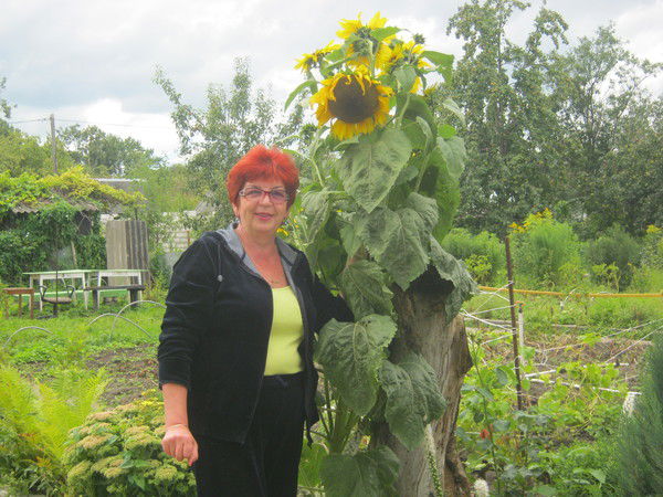 Татьяна Правосуд