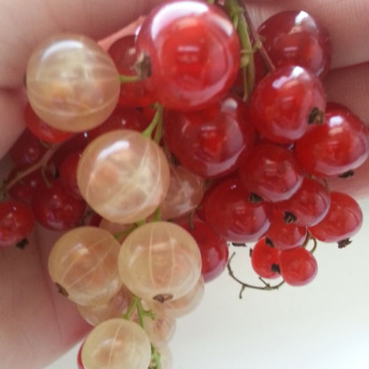 Татьяна Давыдова