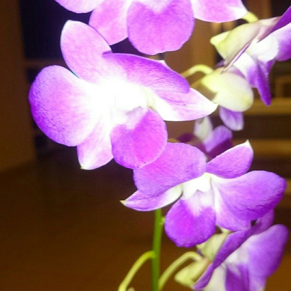 Татьяна Баранова