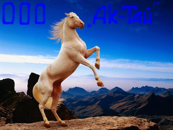 Лилия Исламова