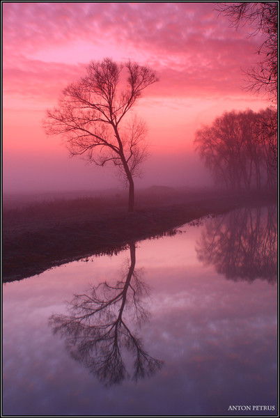 Антон Губко