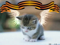 Инна Евстратова