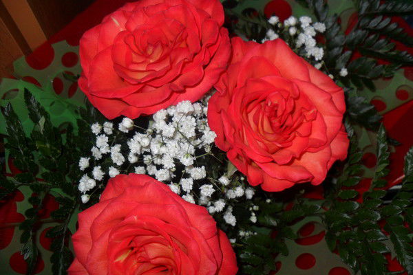 Гульнара Яруллина