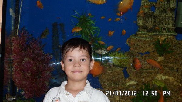 Дмитрий Пироженко