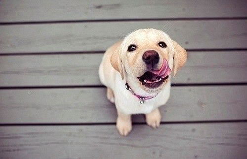 Сонечка Няшка