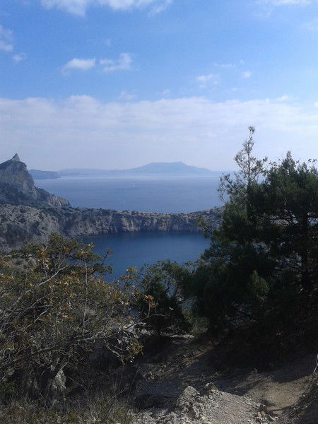 Надежда Микитенко