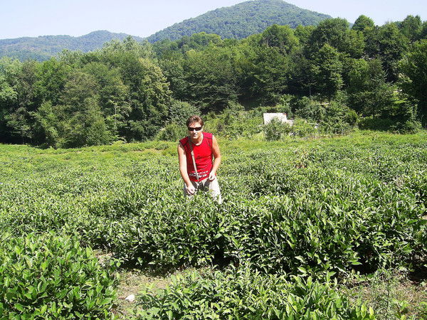 Ивашутин Дмитрий