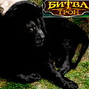 Вячеслав Подоліч