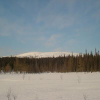 Артём Морозов