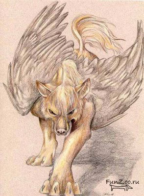 Вадим Конюшевский