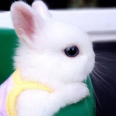 Аделина Садртдинова