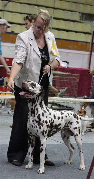 Елена Попкова