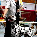 Елена Попкова