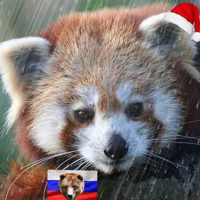 Андрей Ненахов