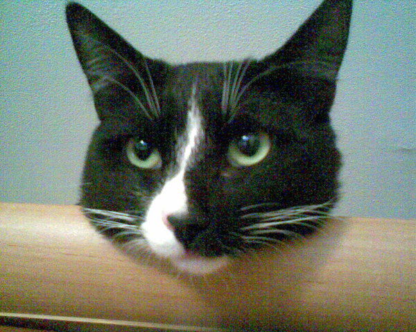 Манюрова Альбина