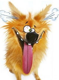 Семен Чумаченко