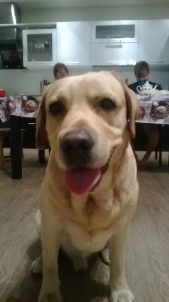 Александр Ткачев