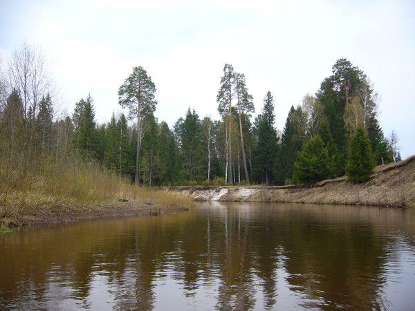 Александр Чаплыгин