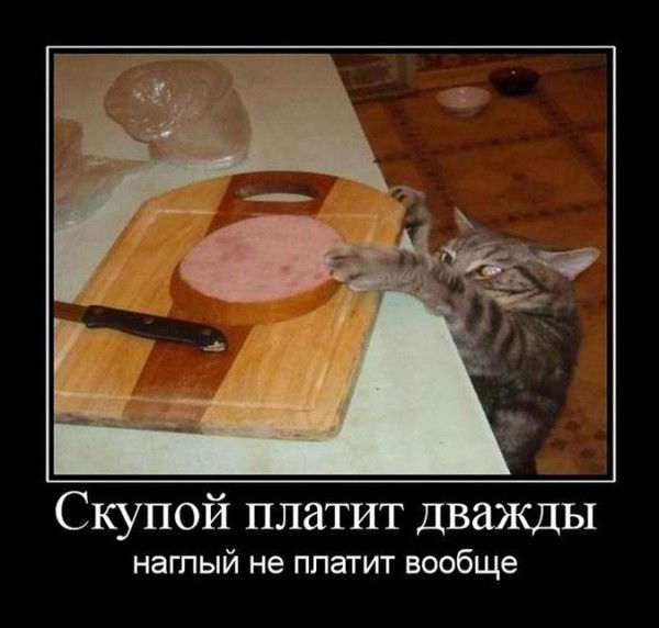 Анатолий Одинцов