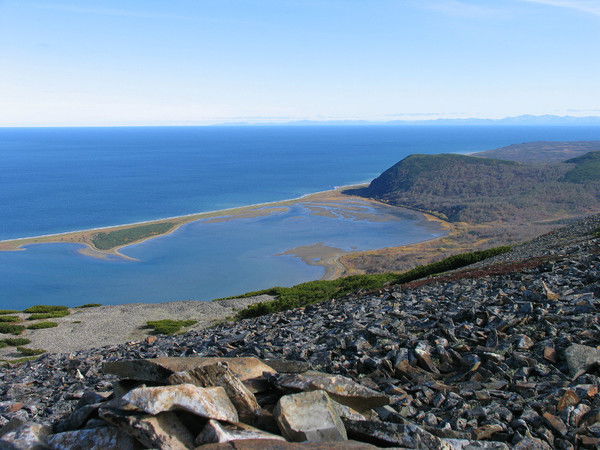 Марина Якушева