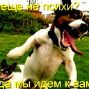 Darishka T.