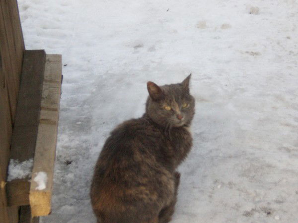 Анастасия $