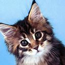 Александра Фатьянова