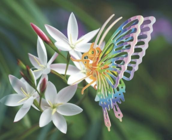 Лариса Чичкина