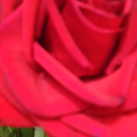 Светлана Исаева