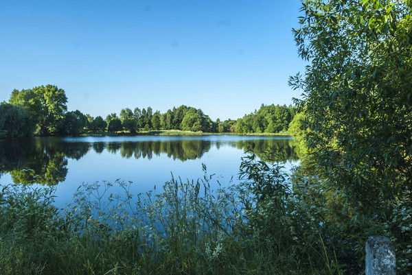 Людмила Антипова