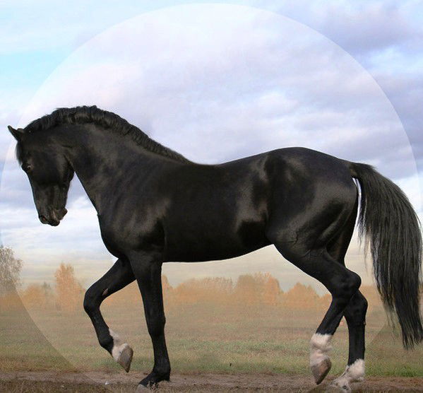 Sauirgali Tursingali