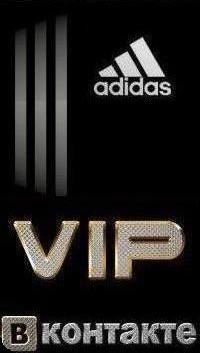 Дима Кузьмин