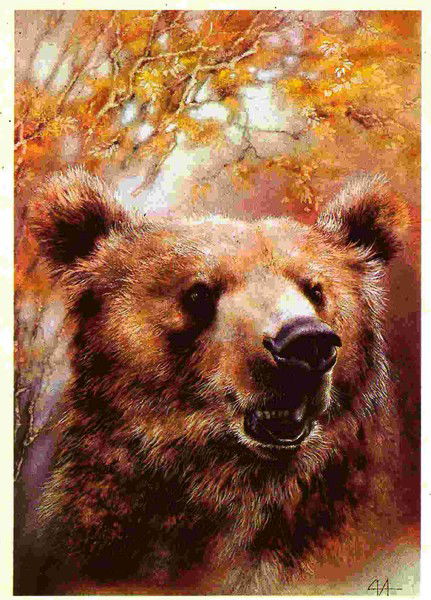 Андрей Дорофеев