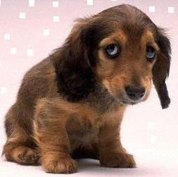 Наталья Сальникова