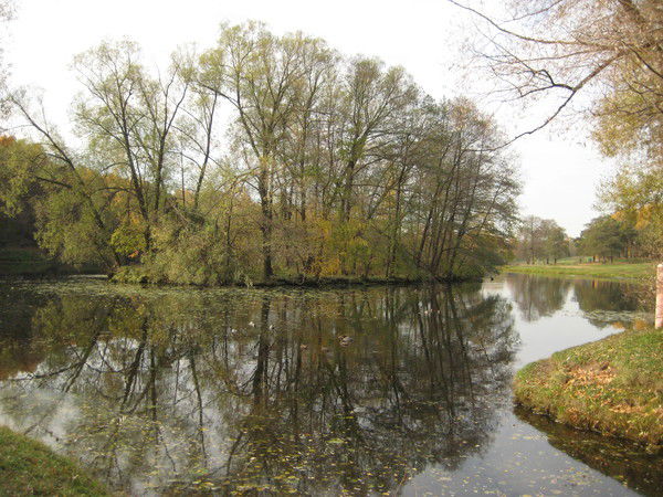 Ирина Золотарева