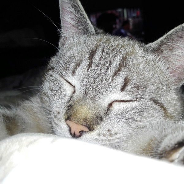 Виктория Ситник