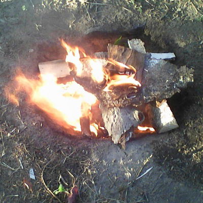 Антон Абрамов