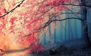 Татьяна Мартыненко