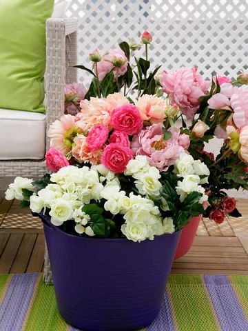 Татьяна Цыкунова