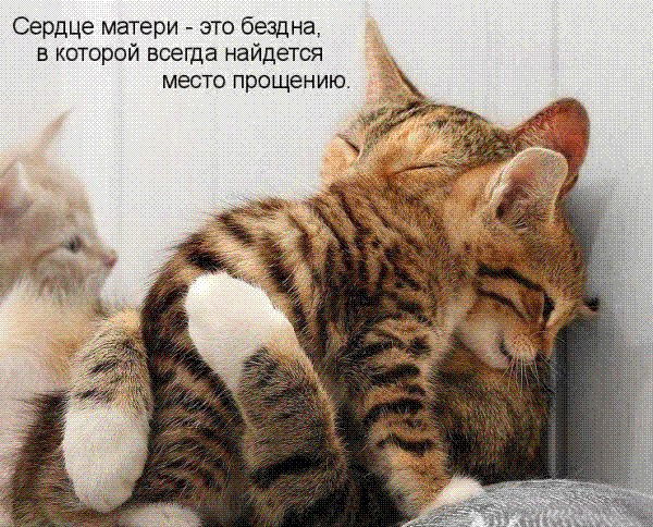 Александр Левченко